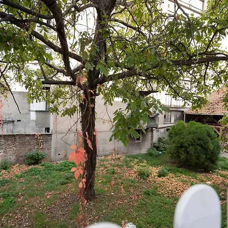 Botanica Free Parking Apartment Belgrade